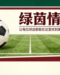 开云-迪诺·托马西接替罗基担任临时裁判指派官：他是谁以及此前的职务