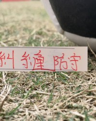 kaiyun-特谢拉面对海港杨世元纠缠防守 “成熟了”！|上海申花|上海海港|上海|阿莱士-特谢拉-桑托斯|上海申花足球俱乐部_新浪体育_新浪新闻