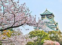 kaiyun-CBA综合：季后赛八强战开打 上海、北京迎系列赛“开门红”