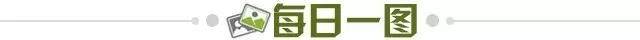 a0ca1fe5-ee49-48d8-9825-5033a29473b0.jpg@!img01